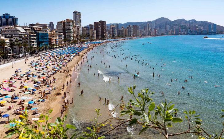 Benidorm revalida las tres banderas Ecoplayas que avalan la calidad de su gestión medioambiental